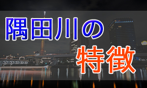 隅田川について