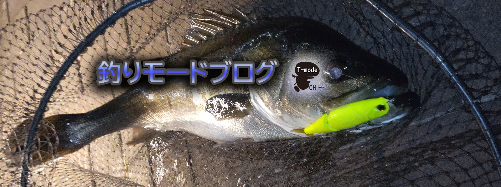 マツタケの釣りモードブログ