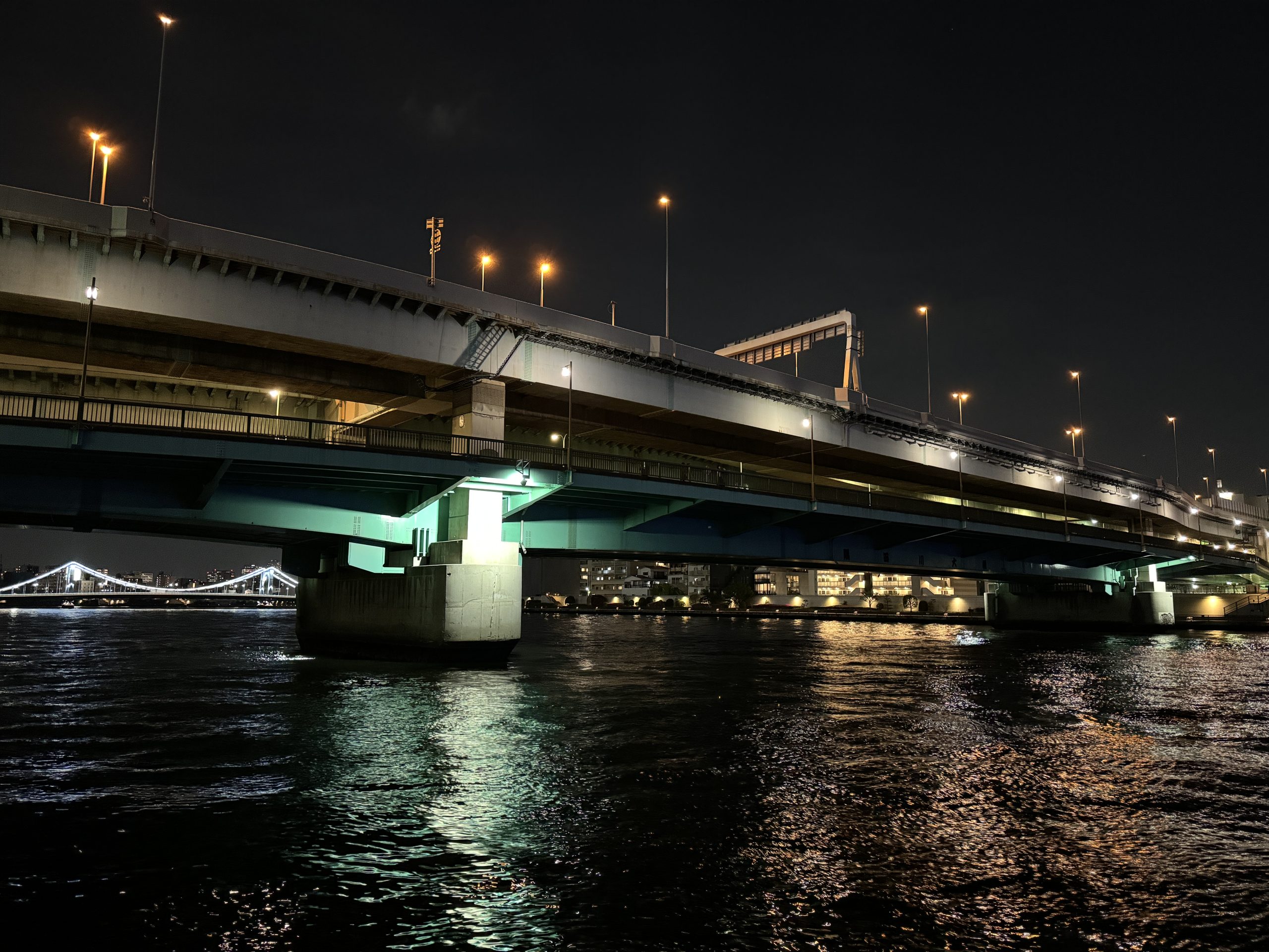 隅田川大橋の特徴