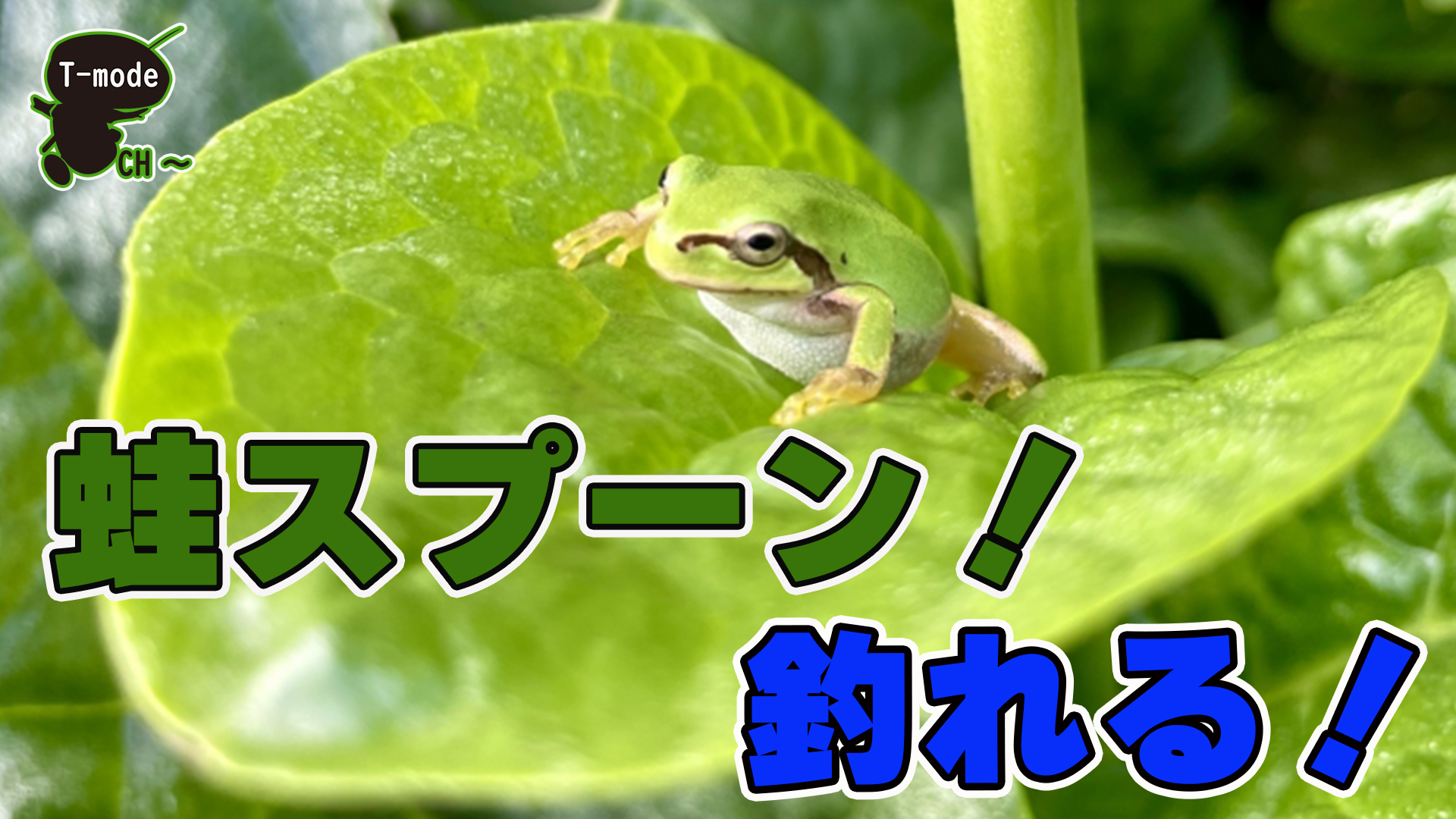 蛙スプーンのすすめ！